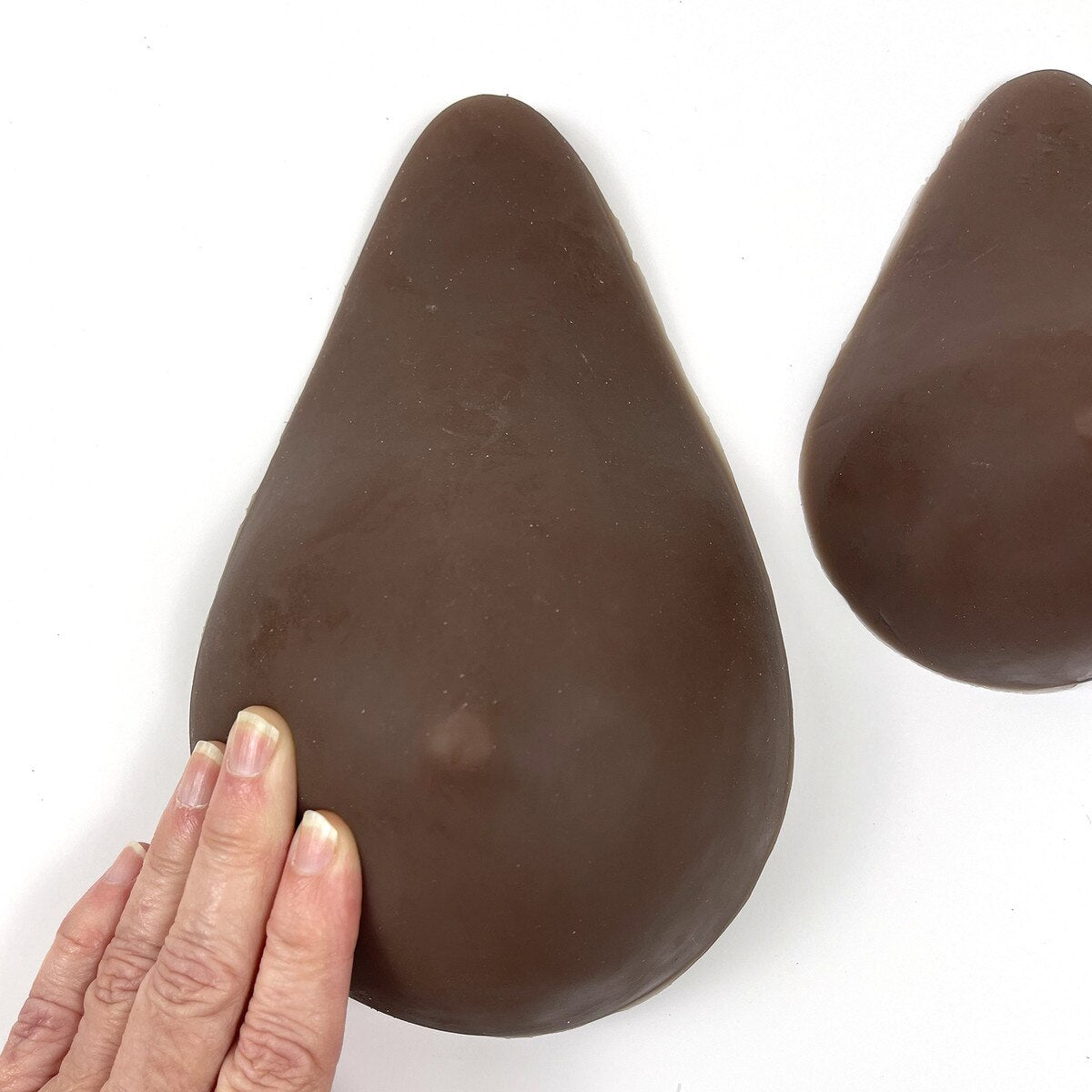 ABC Cup BSE Model Set | Healthcare Training Model - Buy Medical Supplies Online Canada