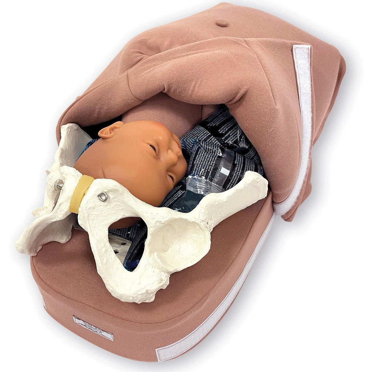 Abdominal Palpation | Healthcare Training Model - Buy Medical Supplies Online Canada