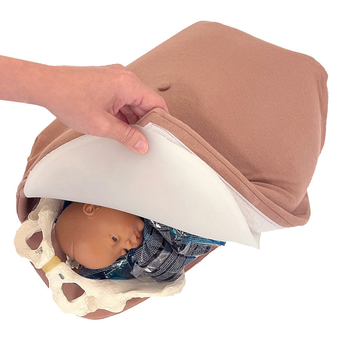 Abdominal Palpation | Healthcare Training Model - Buy Medical Supplies Online Canada