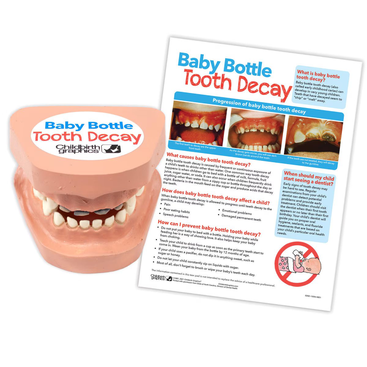 Baby Bottle Tooth Decay Model Set | Healthcare Training Model - Buy Medical Supplies Online Canada