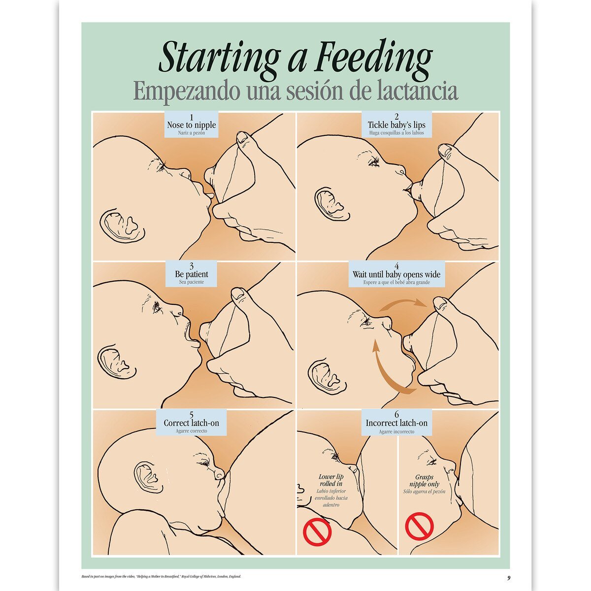 Breastfeeding Basics Spiral-bound Charts, English/Spanish-Birth Supplies Canada