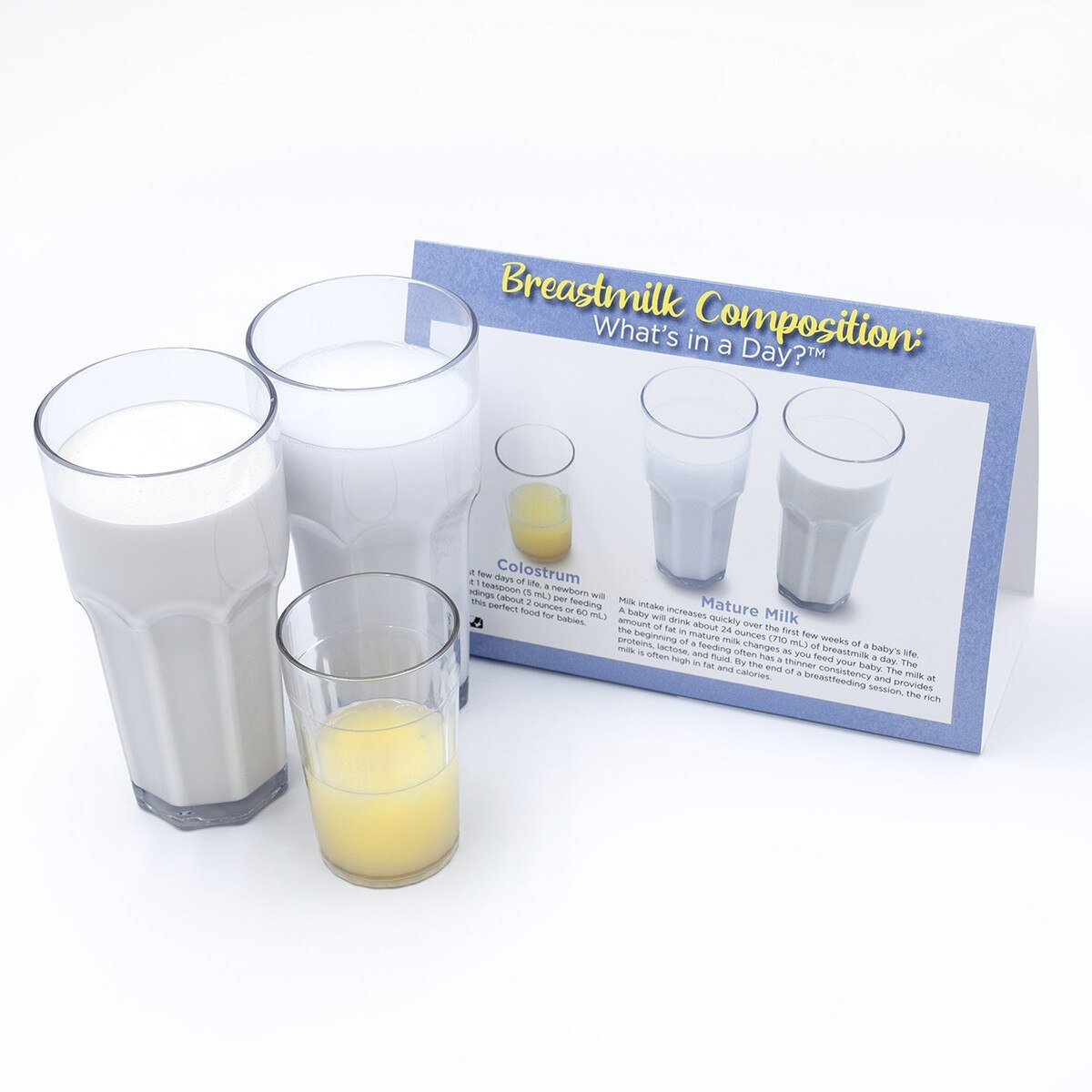Breastmilk Composition: What's In A Day?™ Display-Teaching Aids-Birth Supplies Canada