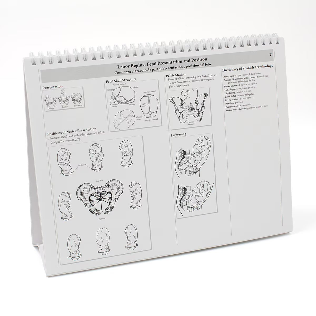 Childbearing: The Classic Series Desk Version Flip Chart - Buy Medical Supplies Online Canada
