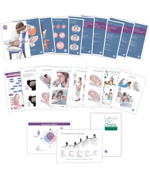 Childbirth Technical Charts – Desk Set Series-Teaching Aids-Birth Supplies Canada