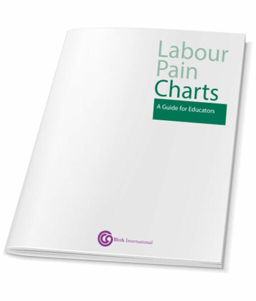 Childbirth Technical Charts – Desk Set Series-Teaching Aids-Birth Supplies Canada