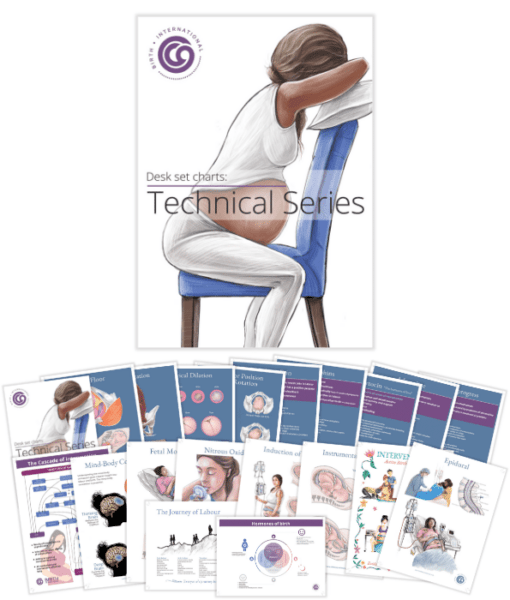 Childbirth Technical Charts – Desk Set Series-Teaching Aids-Birth Supplies Canada