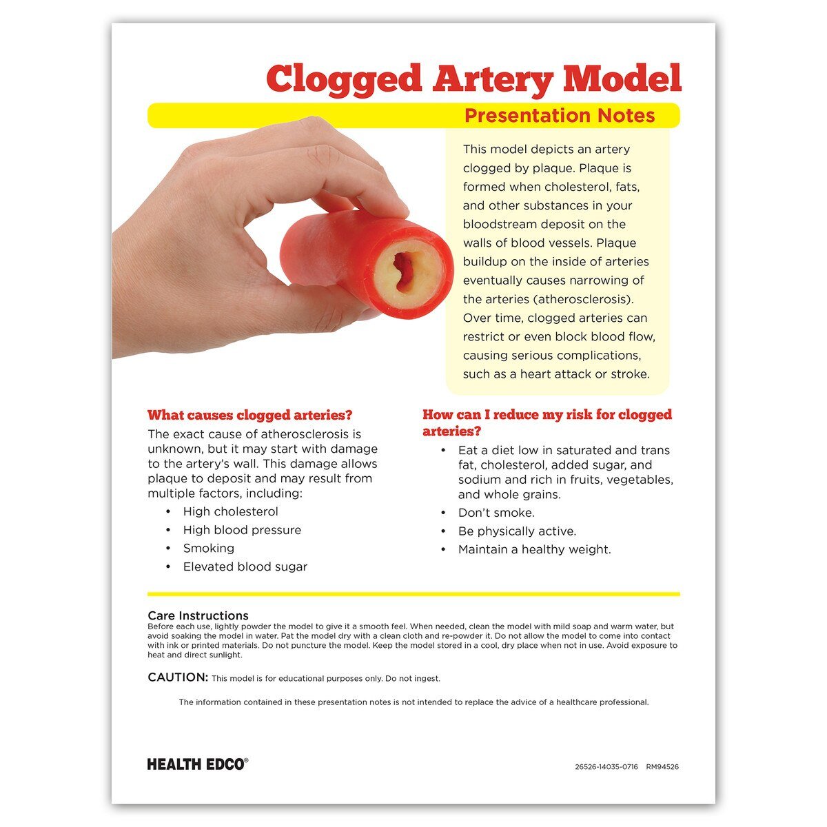 Clogged Artery Model with Plaque Buildup for Heart Health Education-Teaching Aids-Birth Supplies Canada