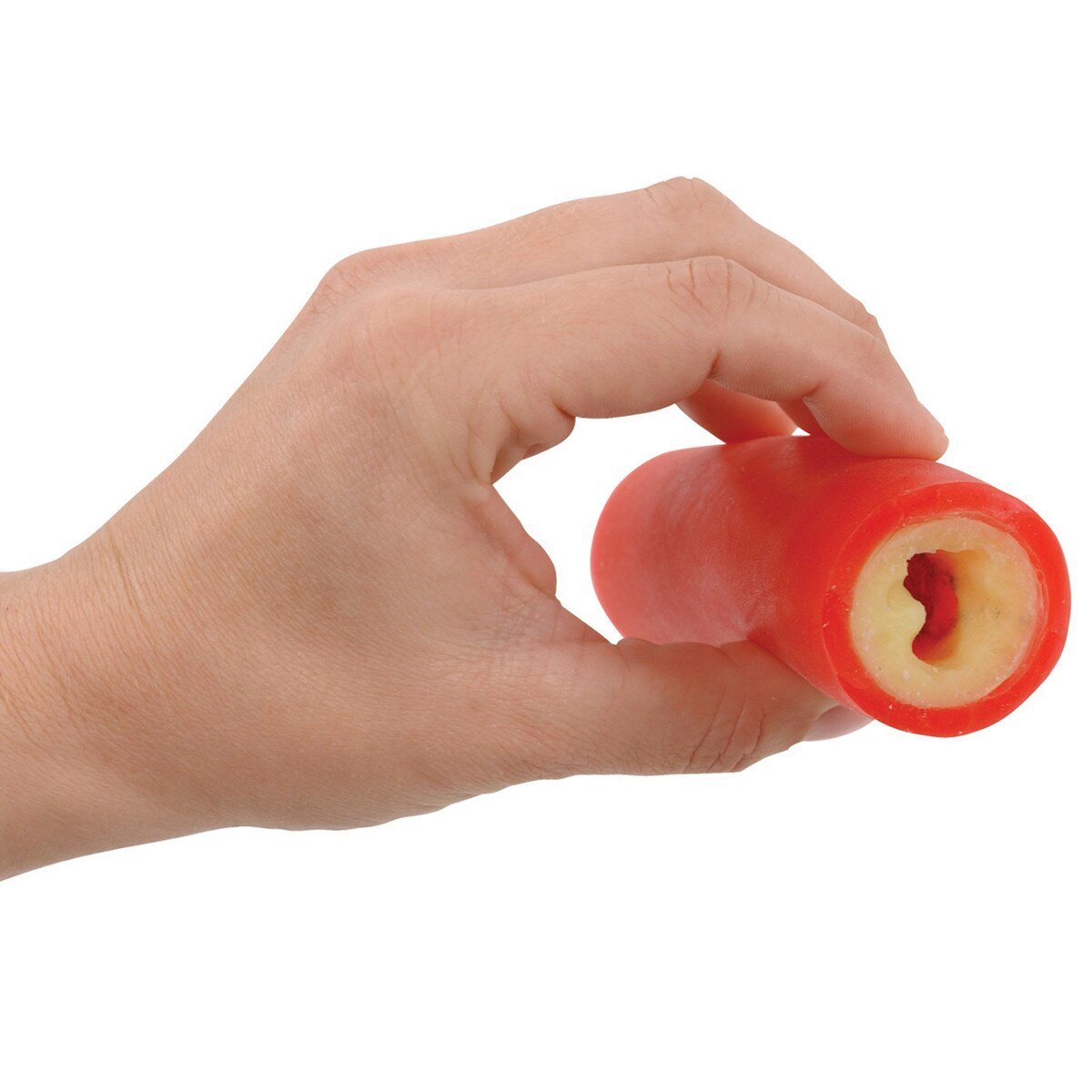 Clogged Artery Model | Healthcare Training Model - Buy Medical Supplies Online Canada