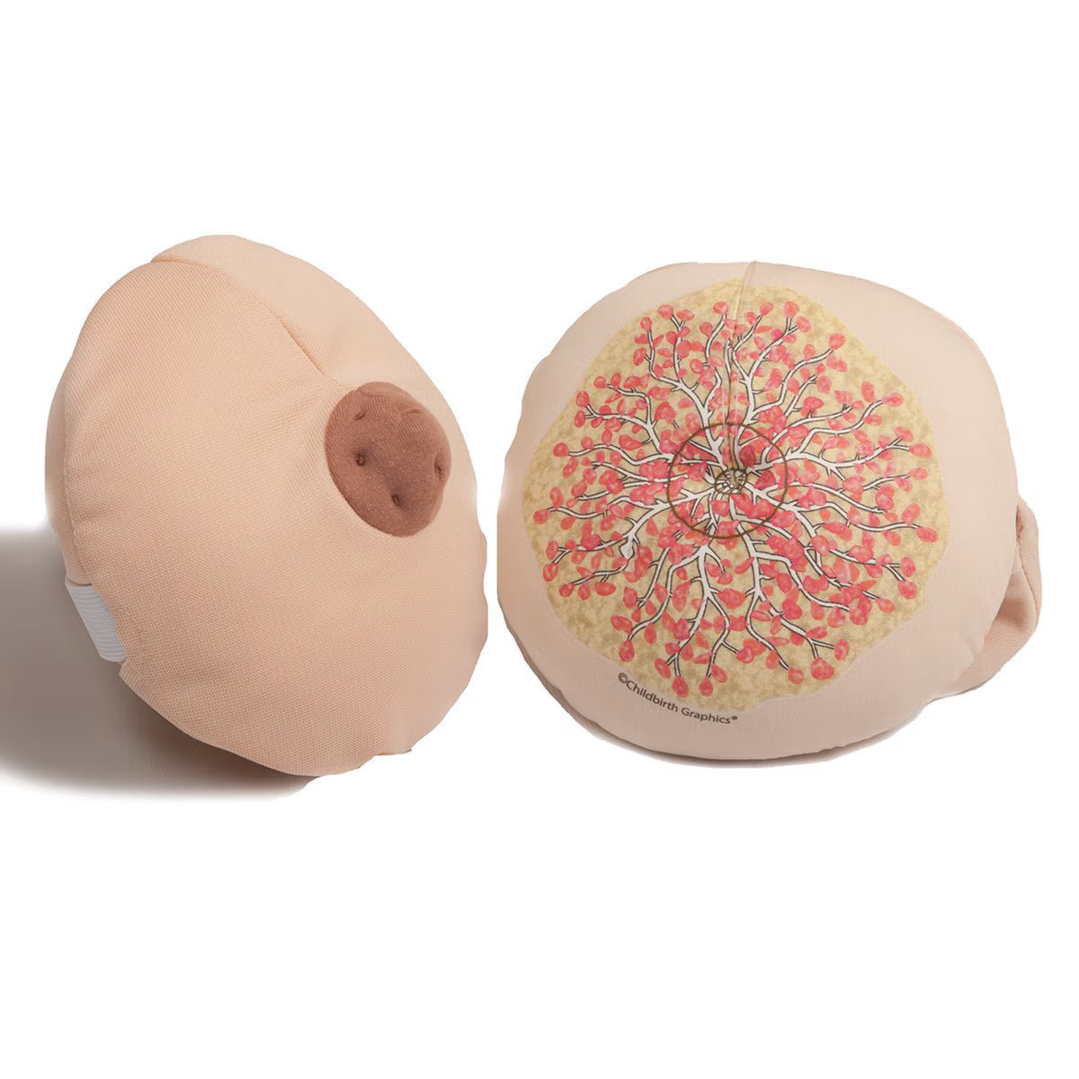 Cloth Breast and Hand Puppet Model Set | Healthcare Training Model - Buy Medical Supplies Online Canada