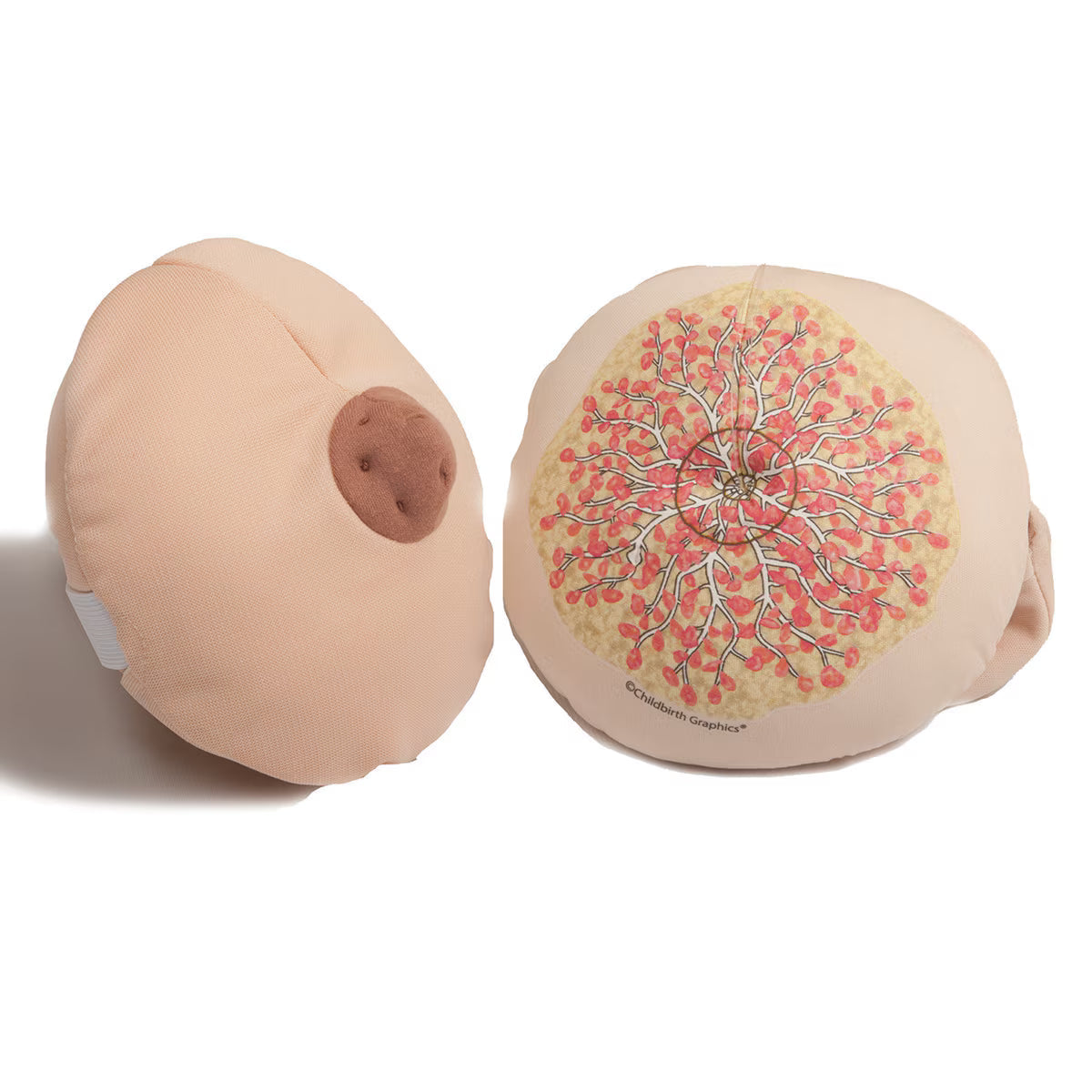 Cloth Breast and Hand Puppet Model Set-Teaching Aids-Birth Supplies Canada