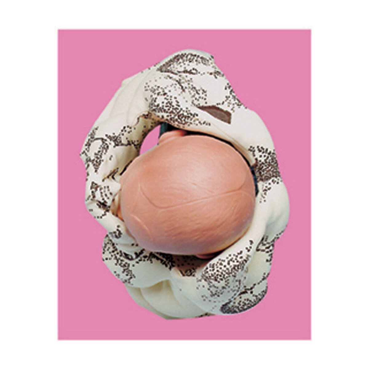 Cloth Pelvic Model-Teaching Aids-Birth Supplies Canada