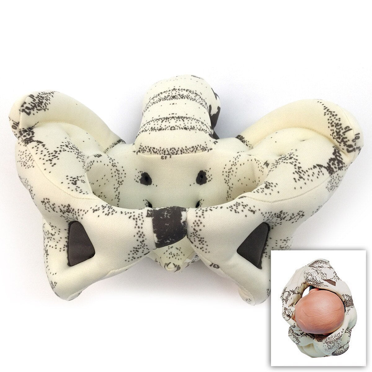 Cloth Pelvic Model | Healthcare Training Model - Buy Medical Supplies Online Canada