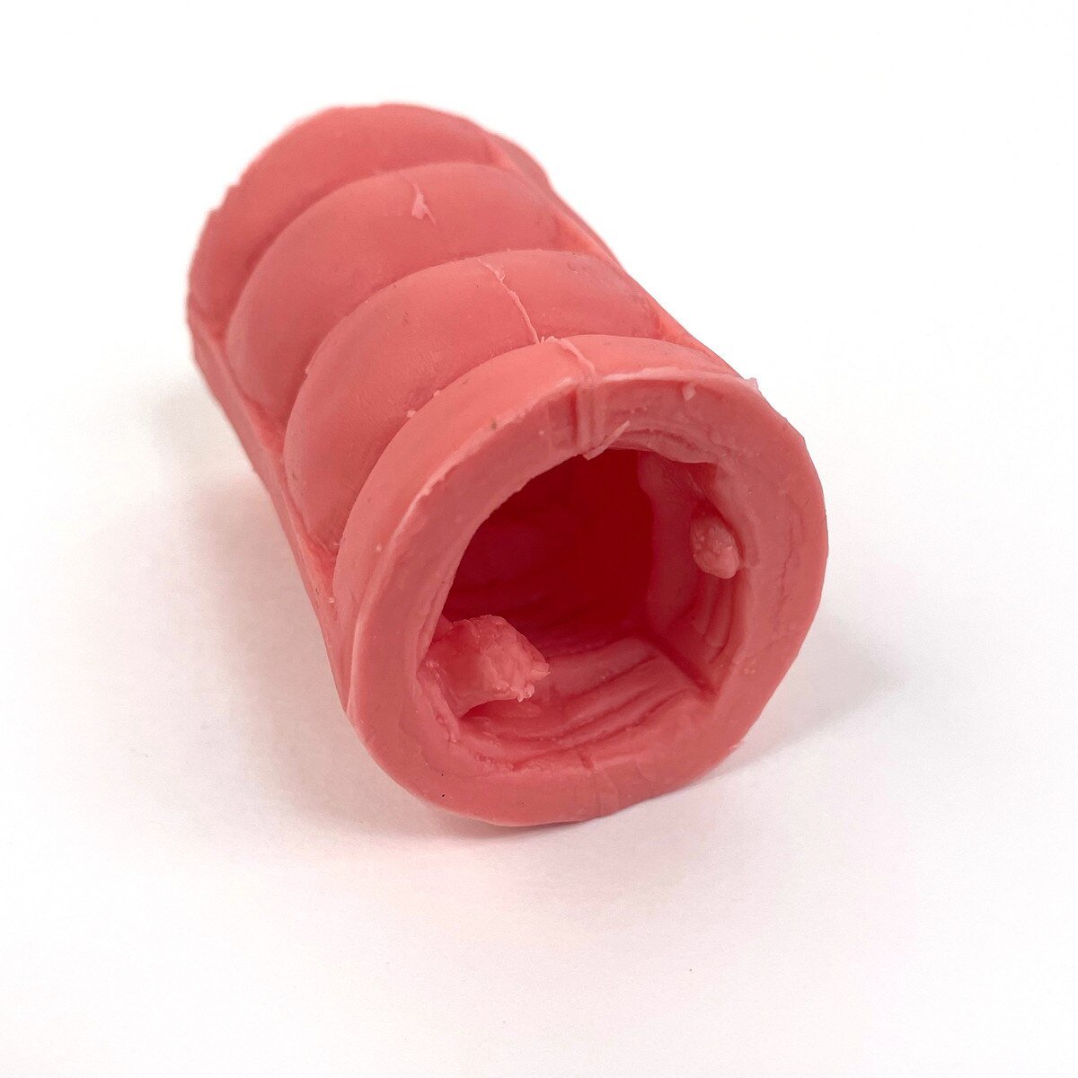 Colorectal Polyp Model-Teaching Aids-Birth Supplies Canada