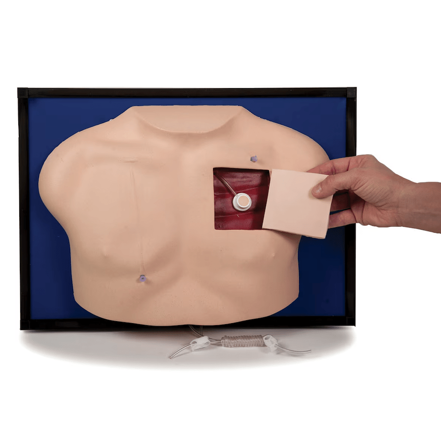 Deluxe Venous Access Training Model-Teaching Aids-Birth Supplies Canada