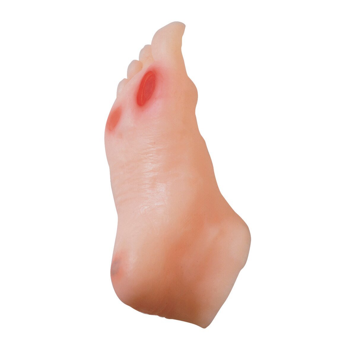 Diabetic Foot Model-Teaching Aids-Birth Supplies Canada