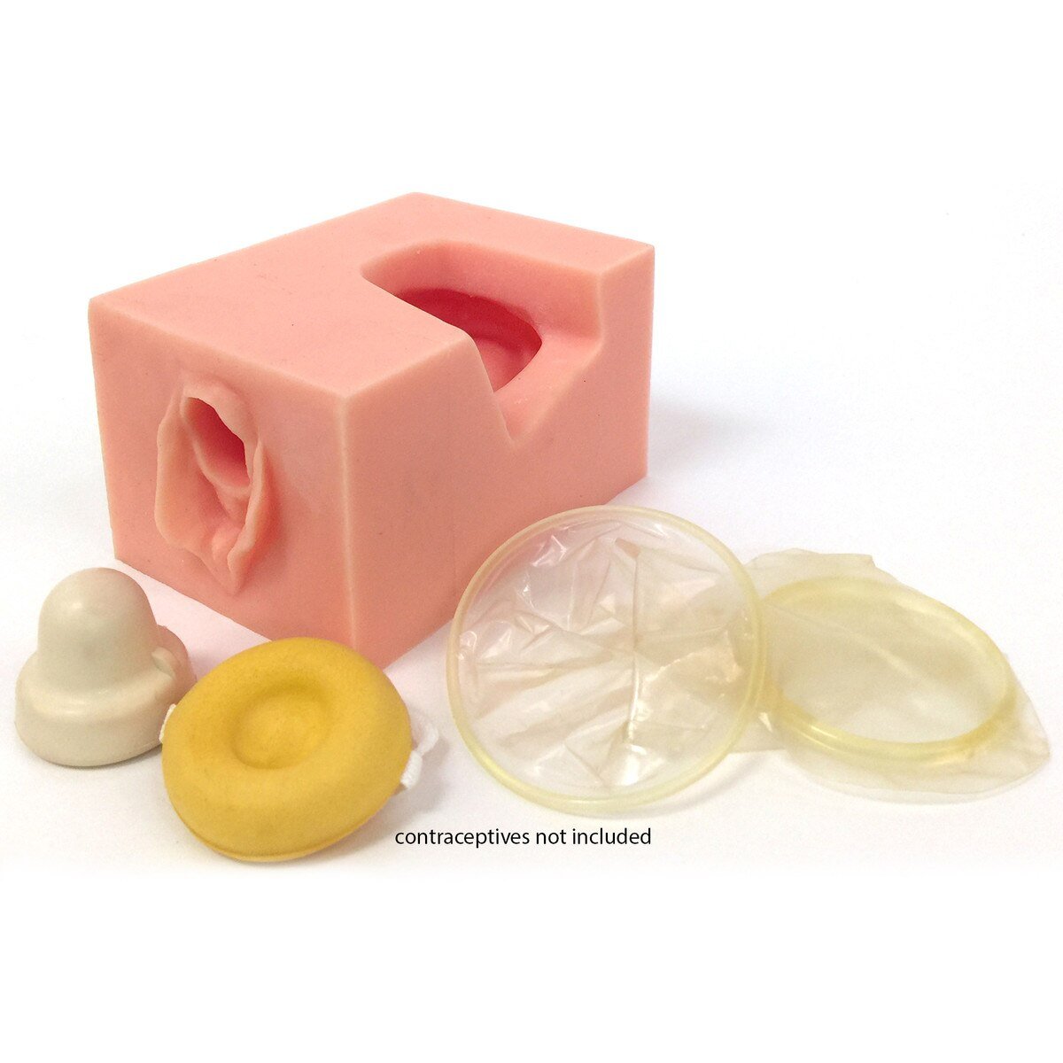Female Pelvis Contraceptive Model-Teaching Aids-Birth Supplies Canada