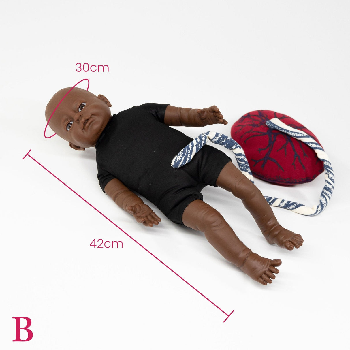 Fetal Doll with umbilical cord & placenta-Teaching Aids-Birth Supplies Canada