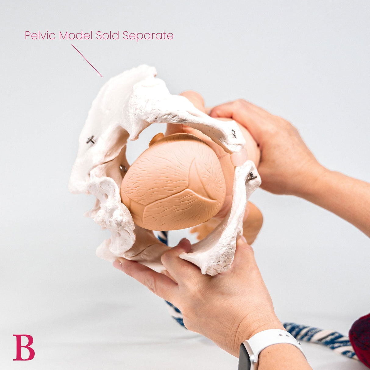 Fetal Doll with umbilical cord & placenta-Teaching Aids-Birth Supplies Canada