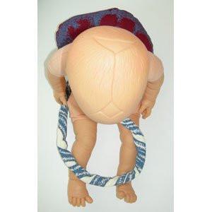 Fetal Doll with Umbilical Cord & Placenta | Clinical Training Model - Buy Medical Supplies Online Canada