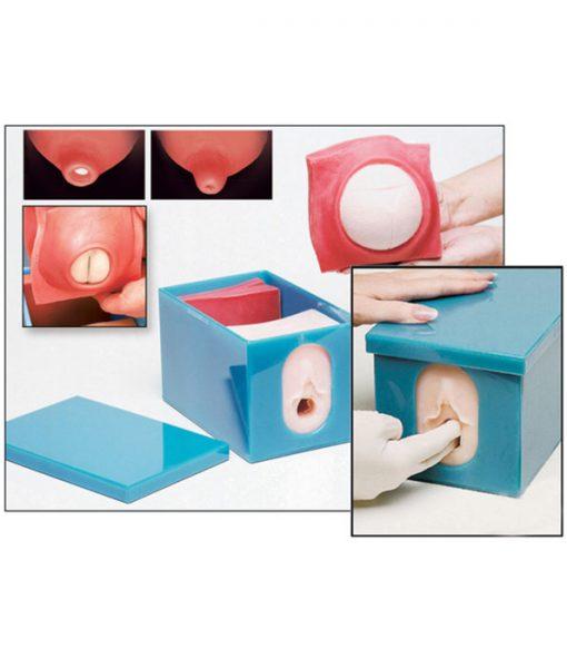 Fetal Monitoring and Labor Progress Model Set-Teaching Aids-Birth Supplies Canada