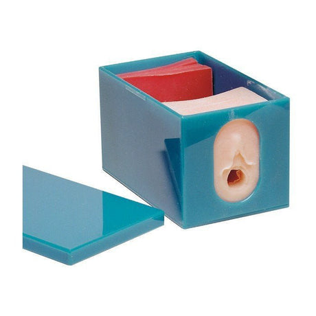 Fetal Monitoring and Labor Progress Model Set-Teaching Aids-Birth Supplies Canada