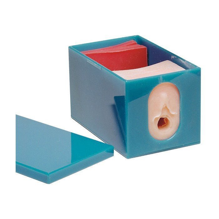 Fetal Monitoring and Labor Progress Model Set-Teaching Aids-Birth Supplies Canada