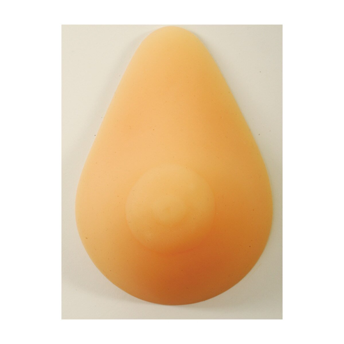 Flat And Inverted Nipple Lactation Model-Teaching Aids-Birth Supplies Canada