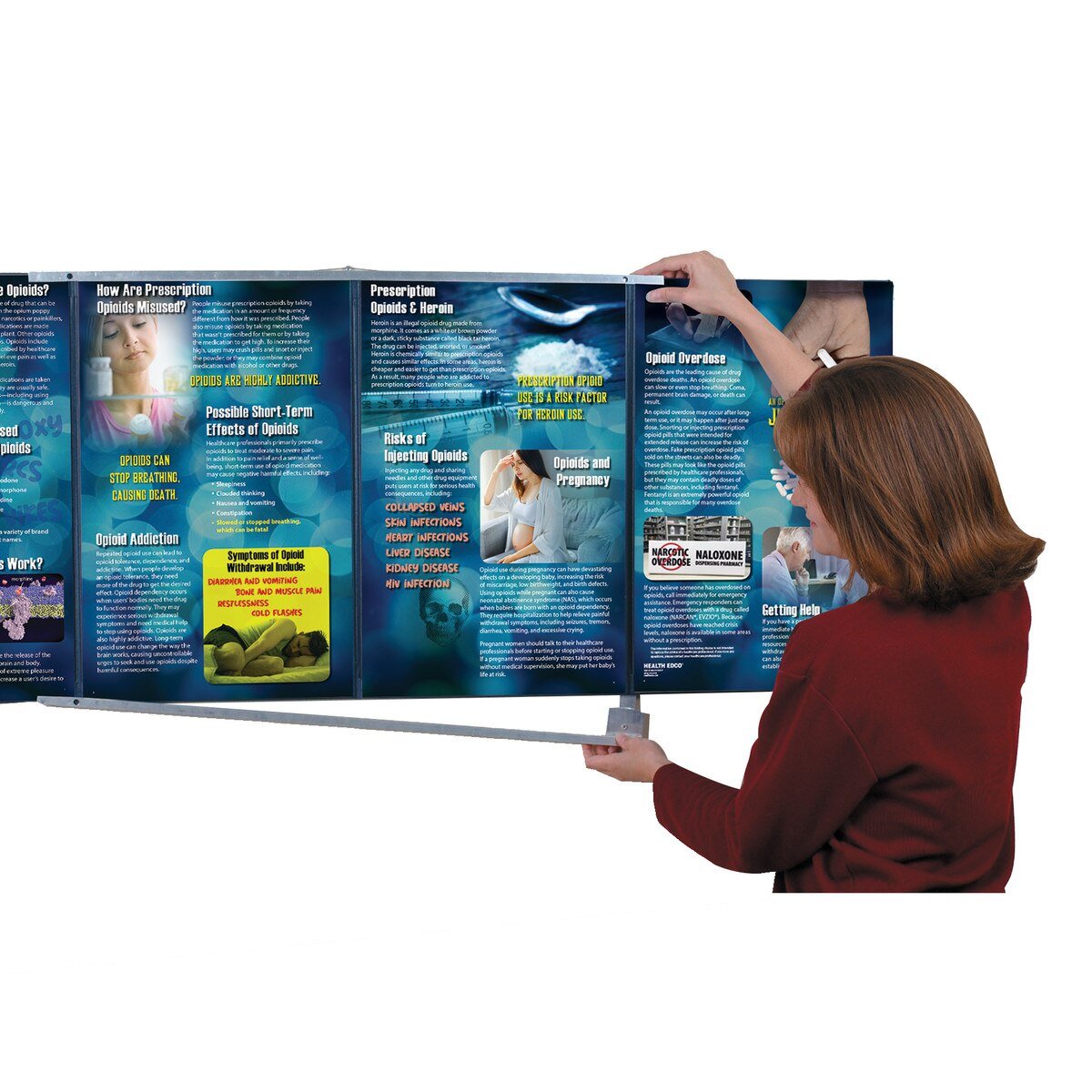 Folding Display Wall Hanger-Teaching Aids-Birth Supplies Canada