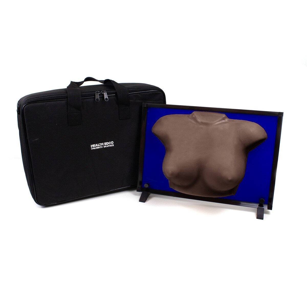 Group BSE Model | Healthcare Training Model - Buy Medical Supplies Online Canada
