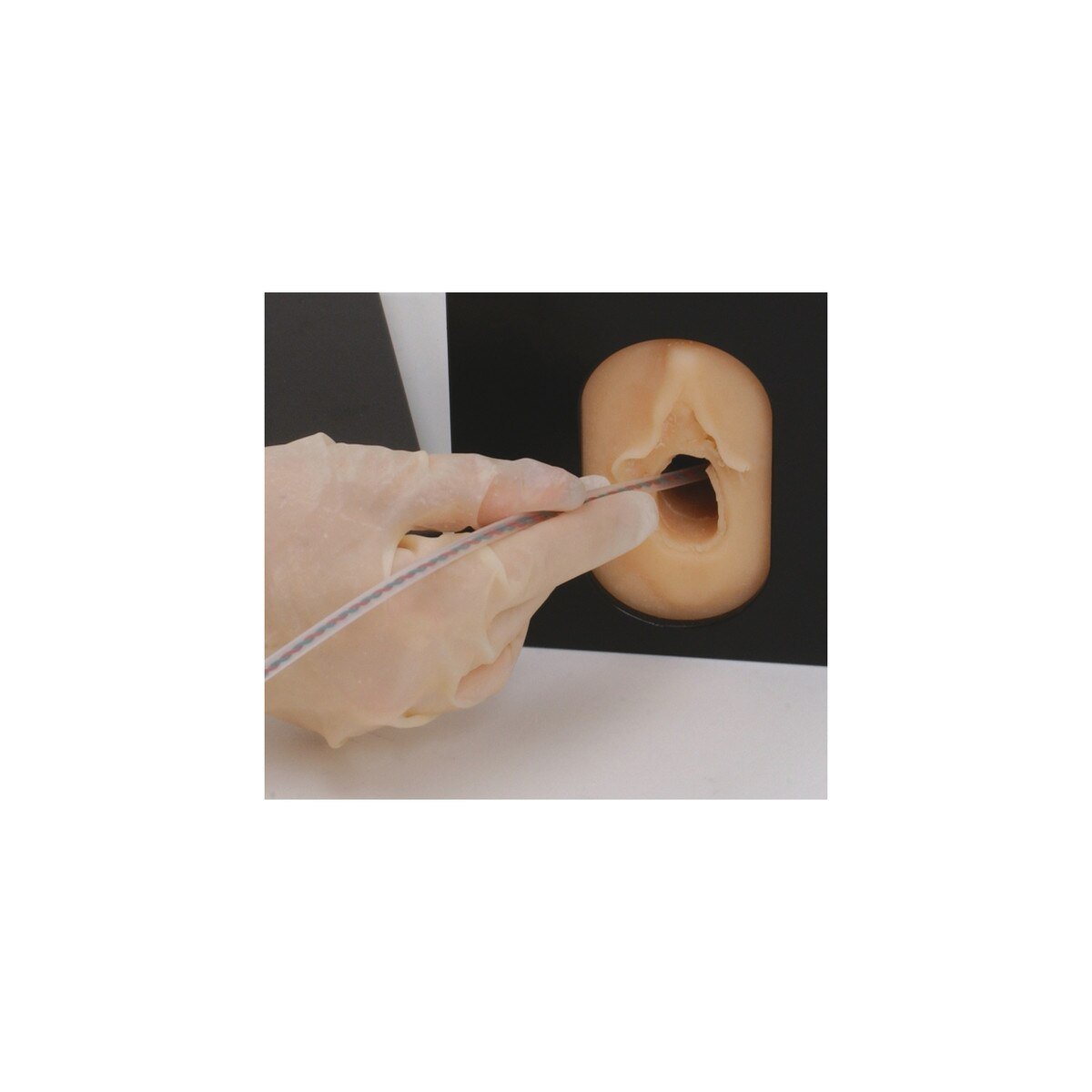 Internal Fetal Monitor | Healthcare Training Model - Buy Medical Supplies Online Canada