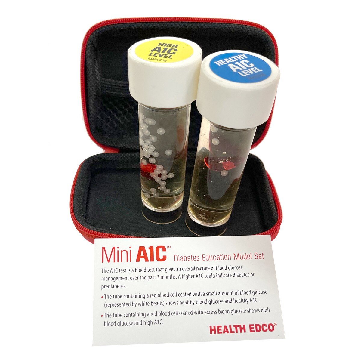 Mini A1C™ Diabetes Education Model Set-Teaching Aids-Birth Supplies Canada