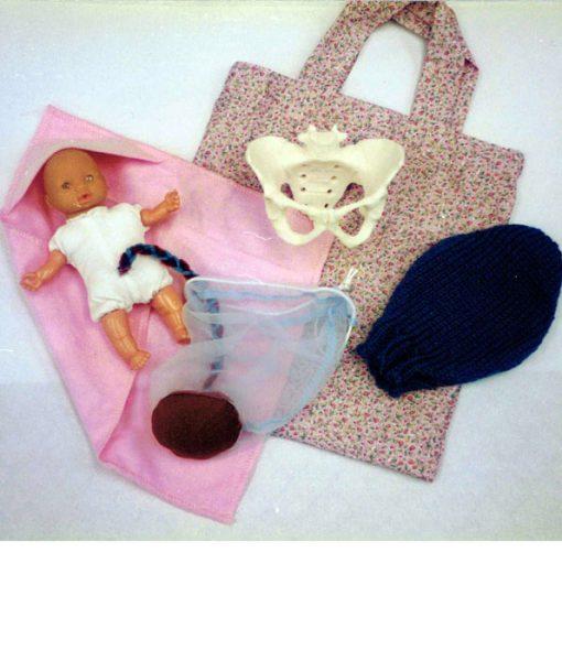 Mini Teaching Model Set-Teaching Aids-Birth Supplies Canada