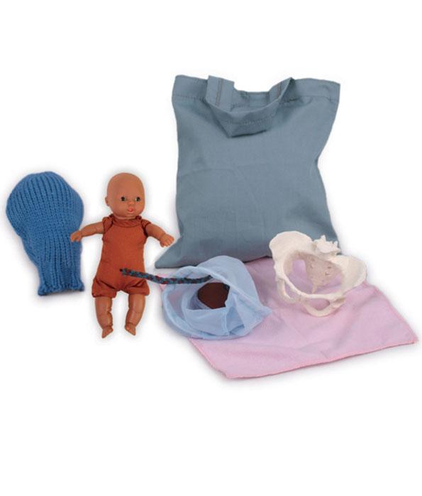 Mini Teaching Model Set-Teaching Aids-Birth Supplies Canada