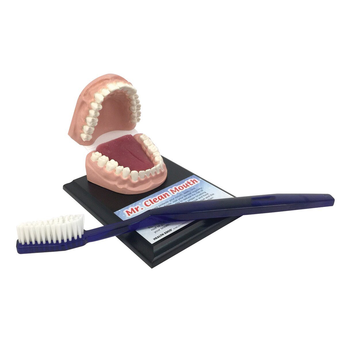 Mr Clean Mouth with Giant Toothbrush-Teaching Aids-Birth Supplies Canada