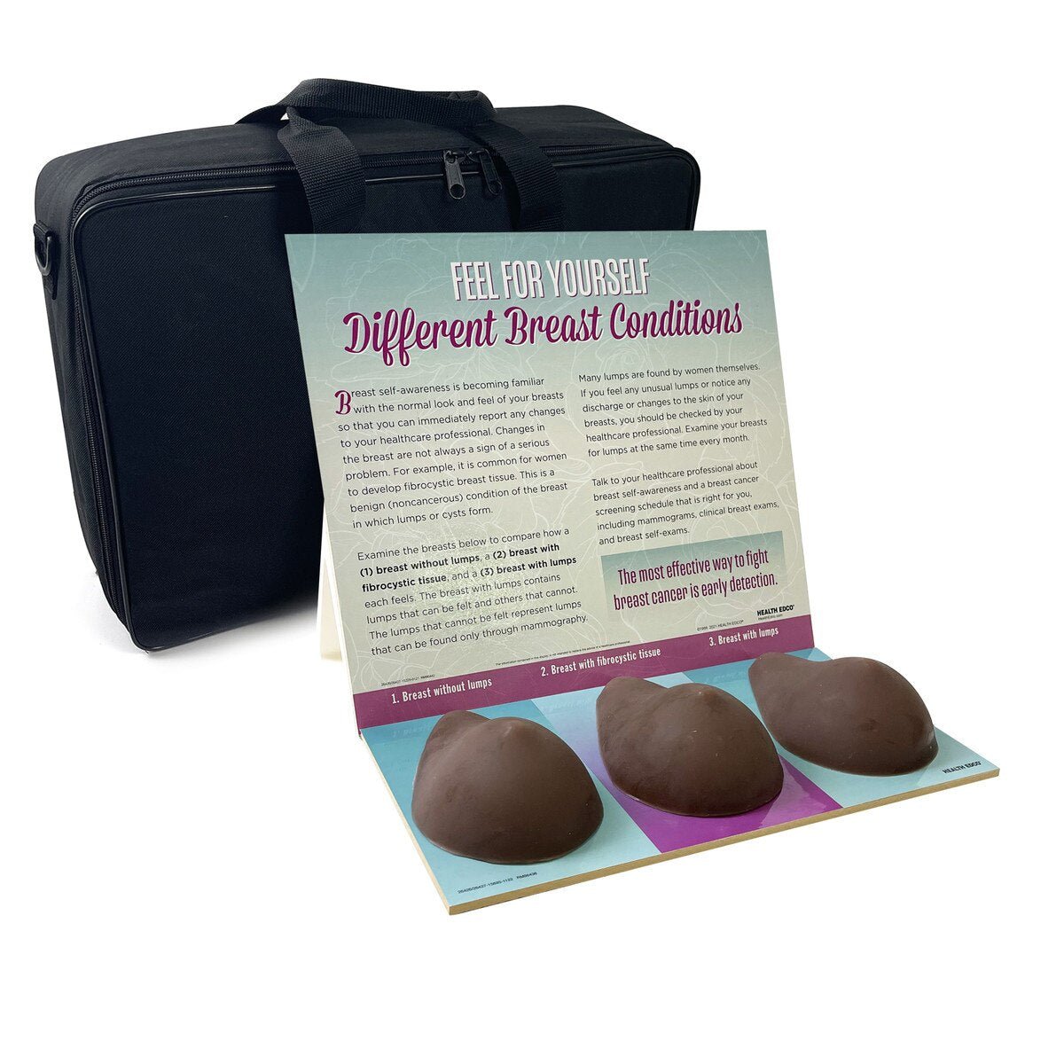 Multi-Type BSE Model Display, English/Spanish-Teaching Aids-Birth Supplies Canada