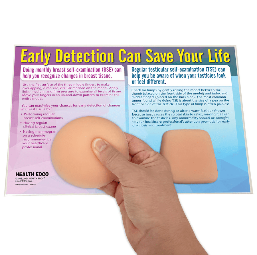 Nonsexual BSE/TSE Model | Healthcare Training Model - Buy Medical Supplies Online Canada