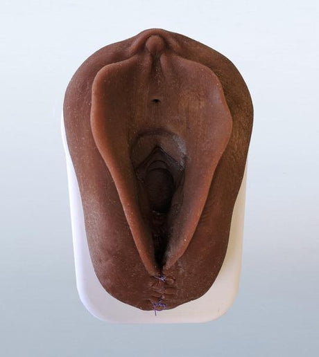 Obstetrics Anal Sphincter Injury Suturing Model-Teaching Aids-Birth Supplies Canada