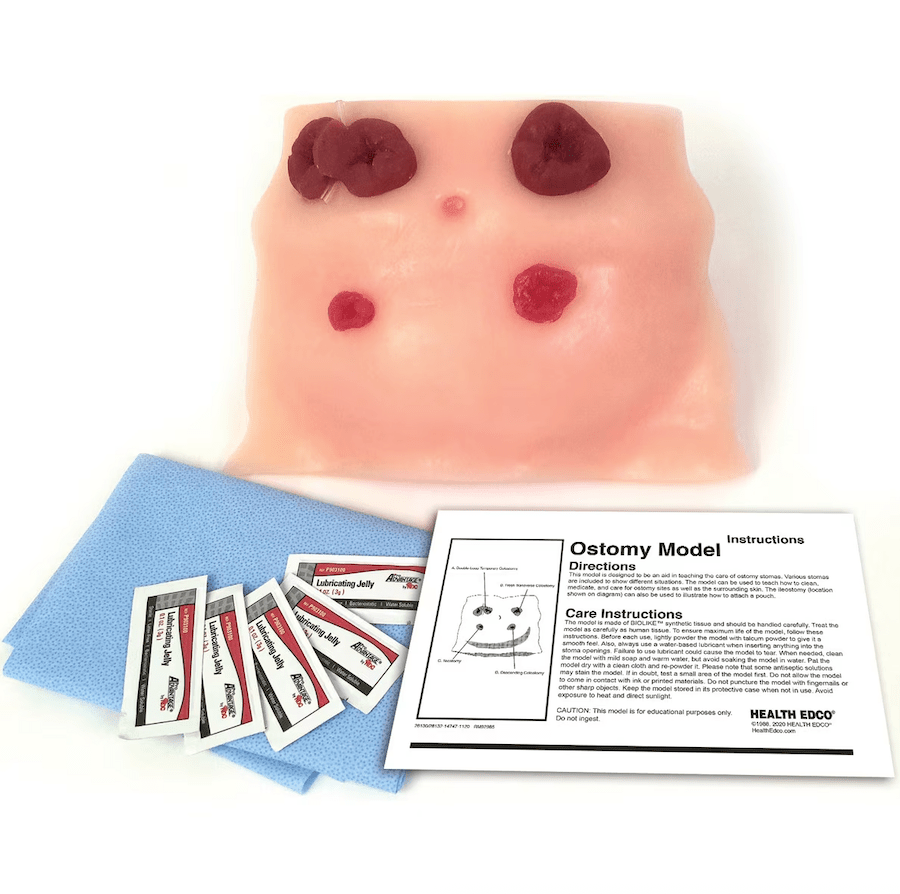 Ostomy Care Model, Beige-Teaching Aids-Birth Supplies Canada