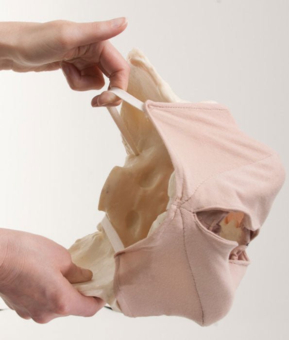 Perineal Cloth Model-Teaching Aids-Birth Supplies Canada