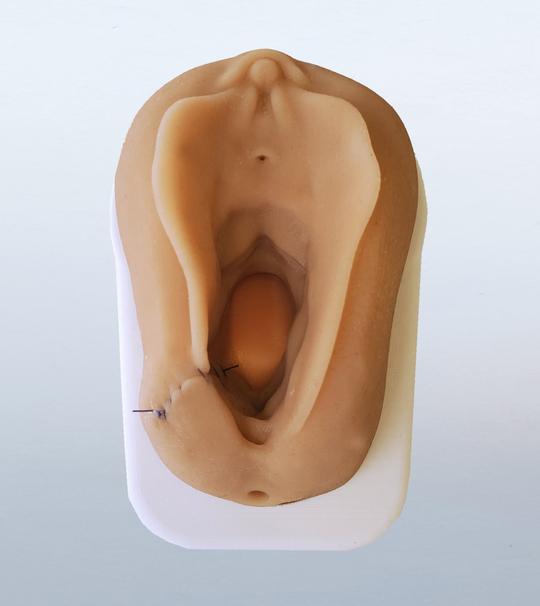 Perineum Injury Suturing Model-Teaching Aids-Birth Supplies Canada