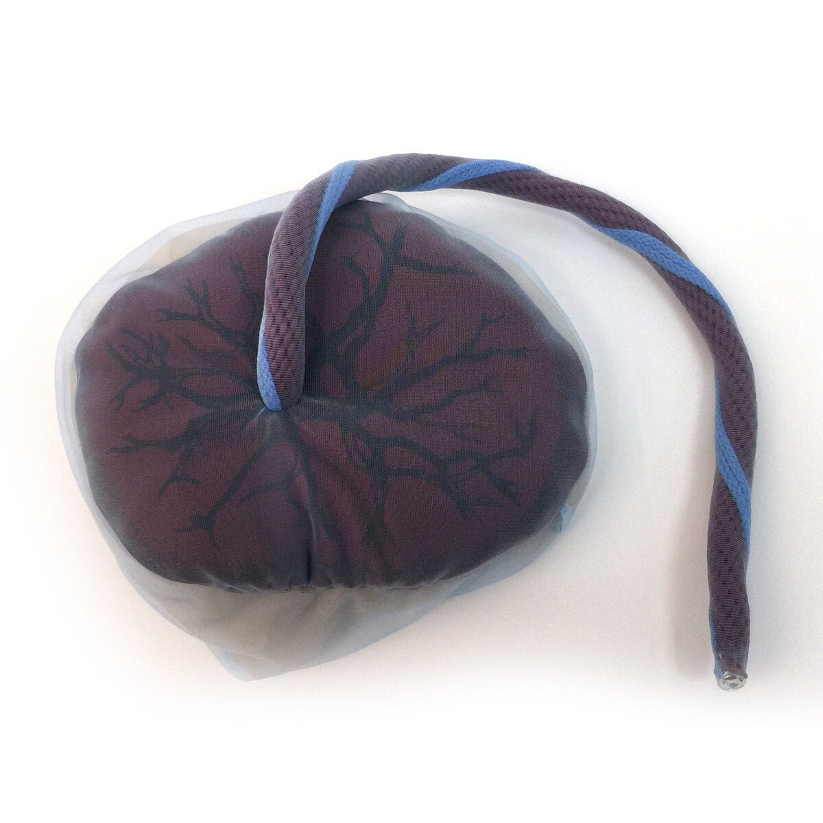 Placenta/Cord/Amnion/Chorion Model-Teaching Aids-Birth Supplies Canada