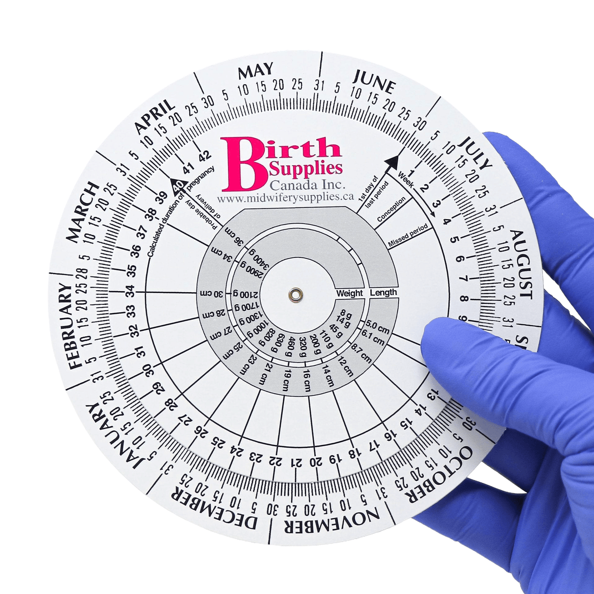 Pregnancy Gestation Wheel – EDD & Prenatal Calculator, 5" - Buy Medical Supplies Online Canada