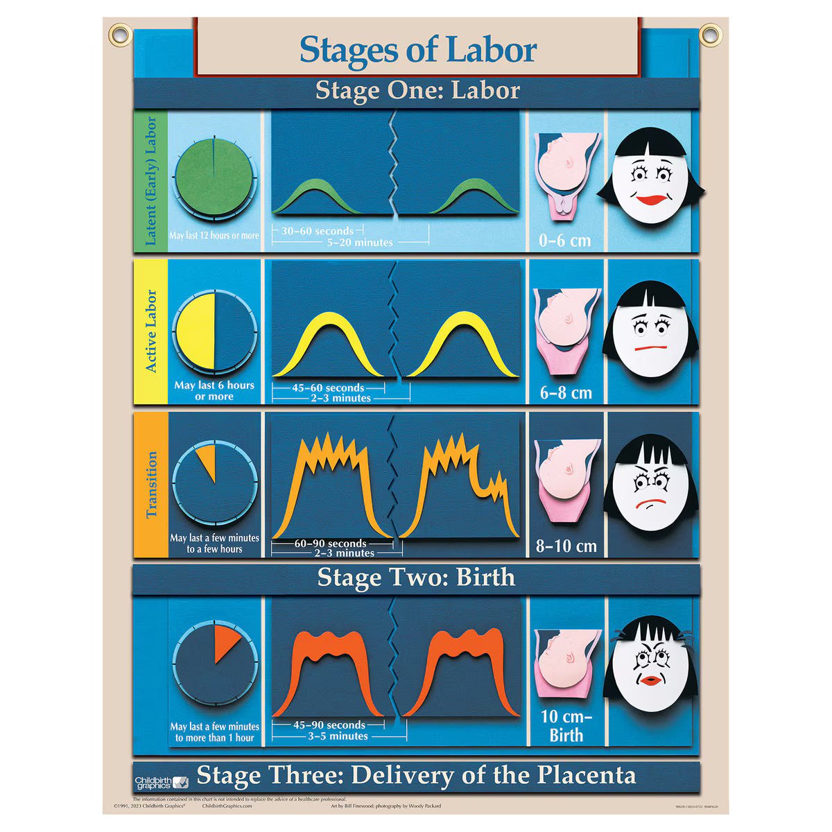 Six Essential Labor and Birth Charts (6), English/Spanish-Teaching Aids-Birth Supplies Canada
