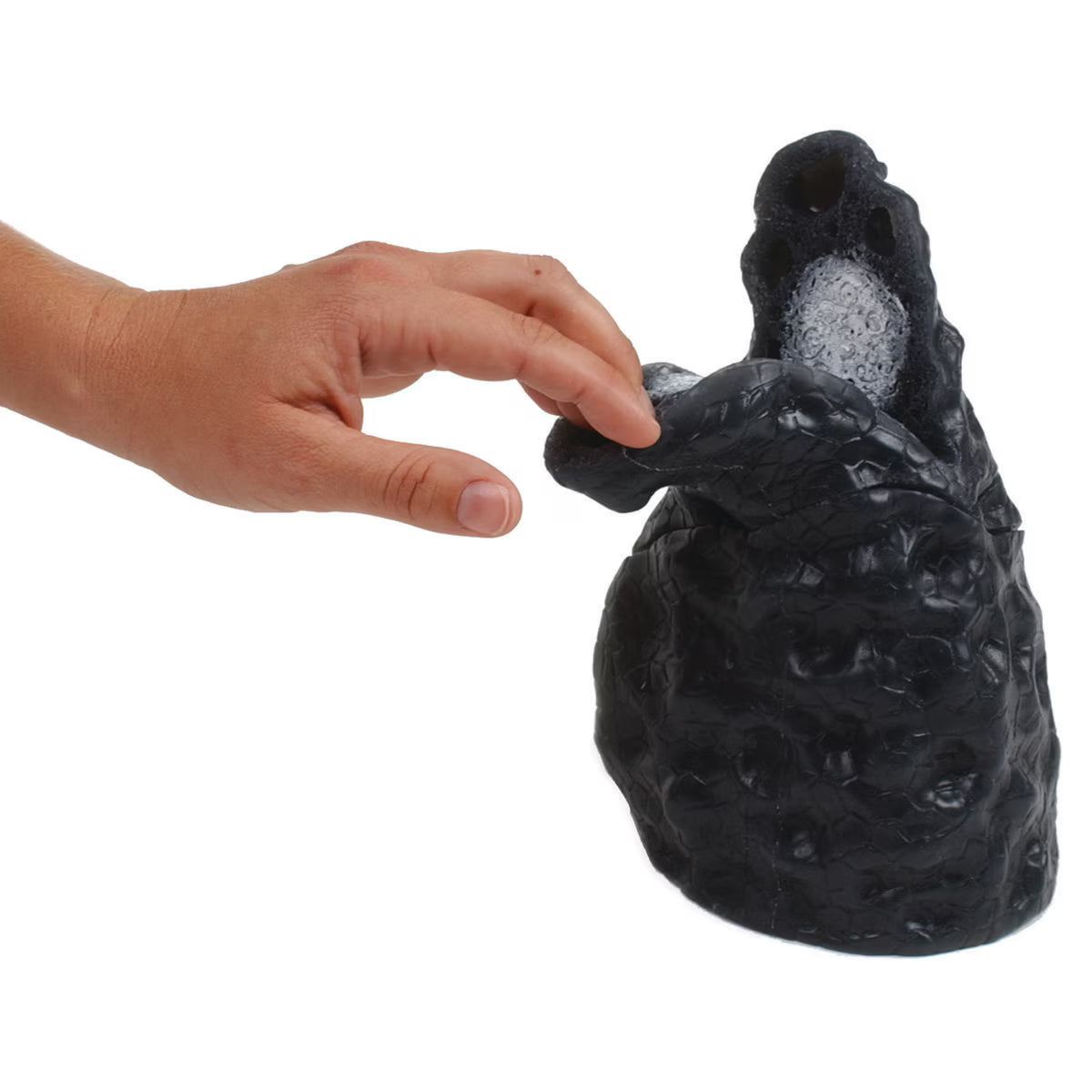 Smoked Lung Model-Teaching Aids-Birth Supplies Canada