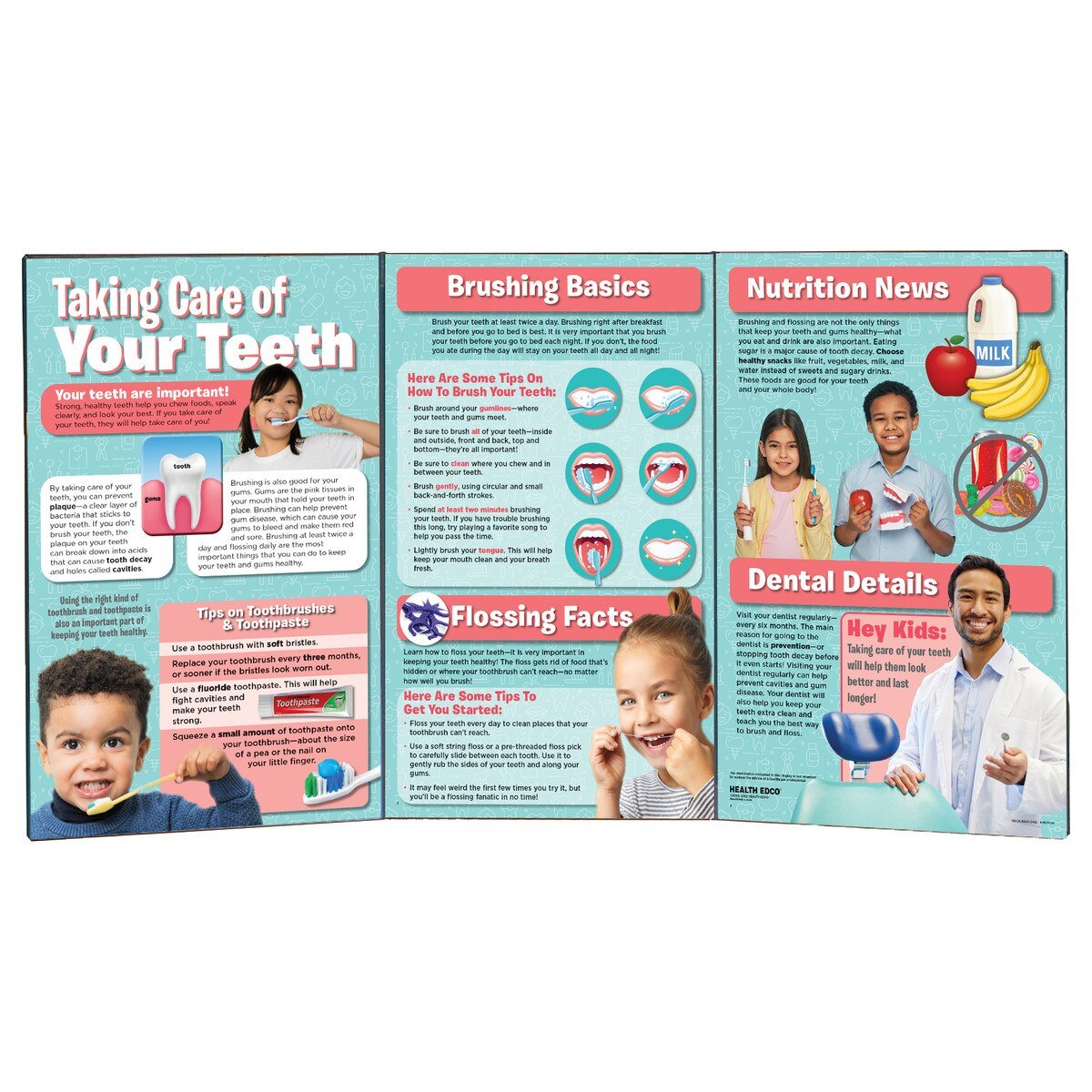 Taking Care of Your Teeth Folding Display-Teaching Aids-Birth Supplies Canada