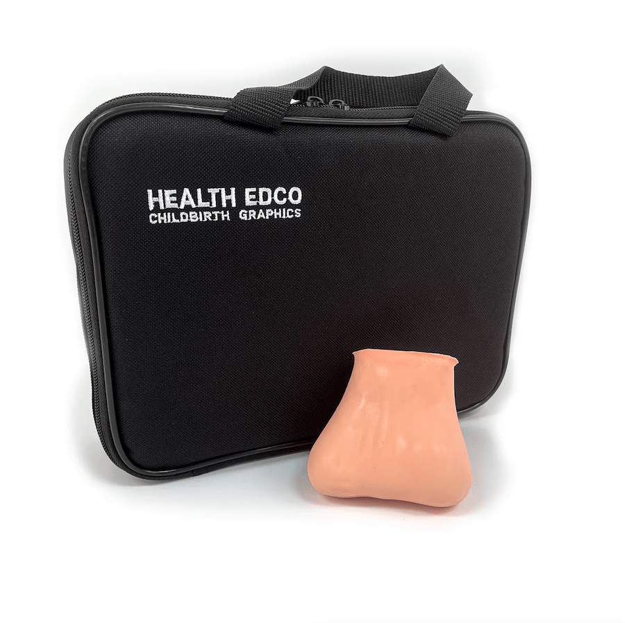 Testicular Self-exam Model-Teaching Aids-Birth Supplies Canada