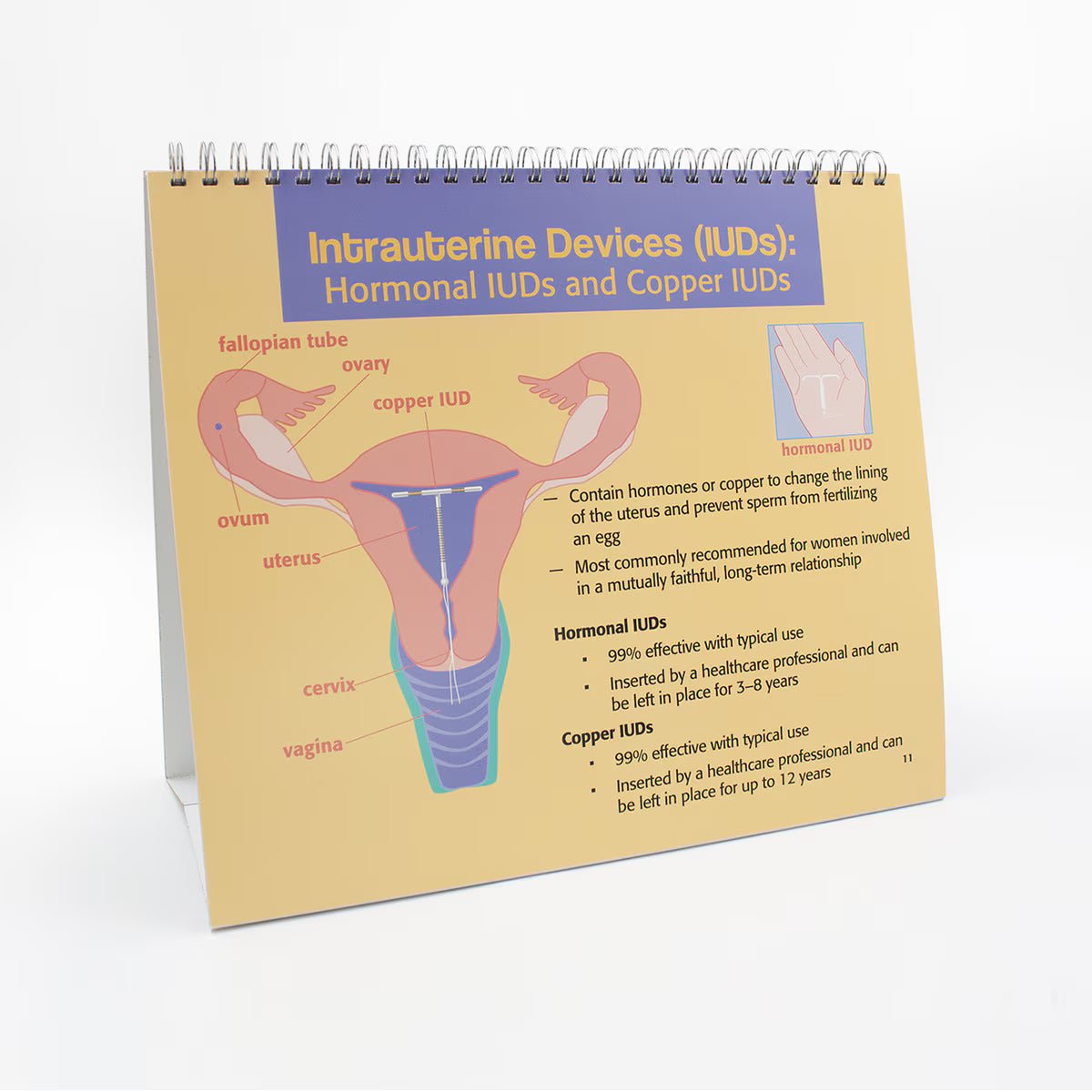 Understanding Birth Control Flip Chart | Healthcare Training Model - Buy Medical Supplies Online Canada