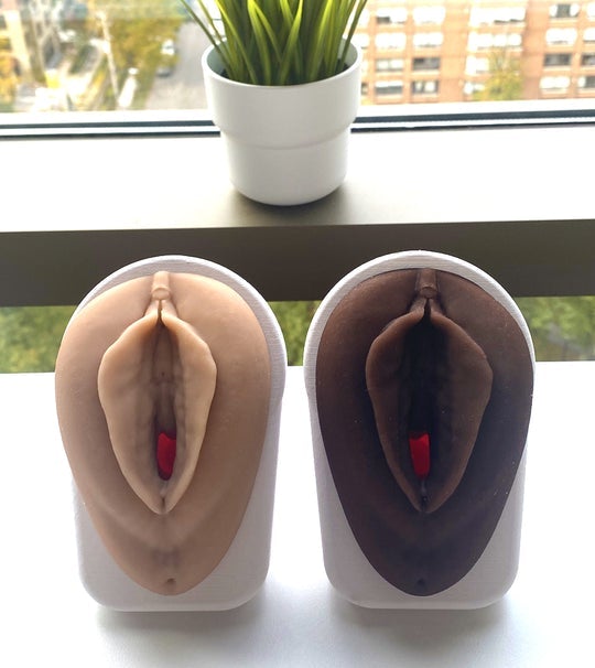 Vulva Model with Vaginal Canal | Healthcare Teaching Aid-Vaginal Exam Supplies-Birth Supplies Canada