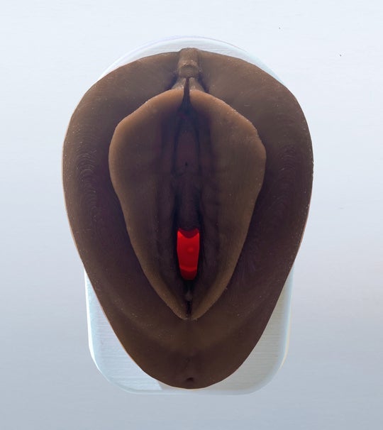 Vulva Model with Vaginal Canal | Healthcare Teaching Aid-Vaginal Exam Supplies-Birth Supplies Canada