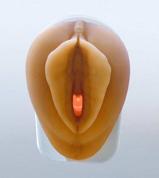 Vulva Model with Vaginal Canal | Healthcare Teaching Aid-Vaginal Exam Supplies-Birth Supplies Canada
